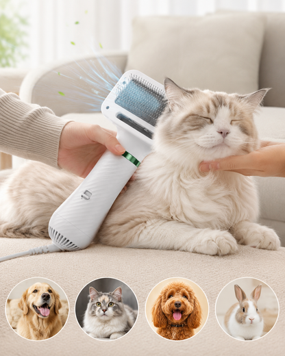 CleanPet Duo | Secador y Cepillo 2 en 1 para Mascotas